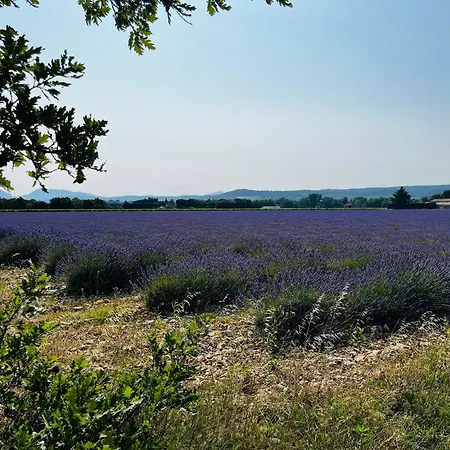De Charme Chez Nel Et Flo * Valreas