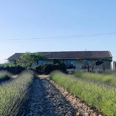 De Charme Chez Nel Et Flo Valréas